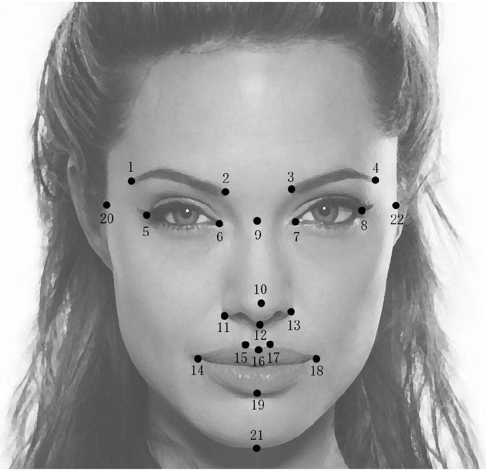 Human face feature point auxiliary labeling method