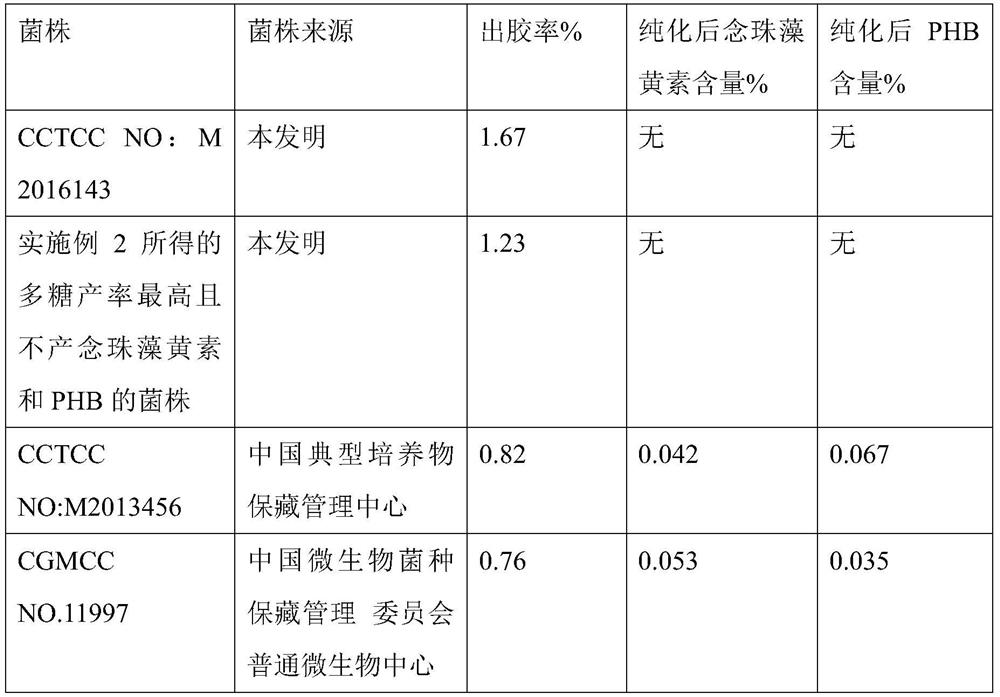Low-impurity high-yielding gellan gum-producing bacteria and its application
