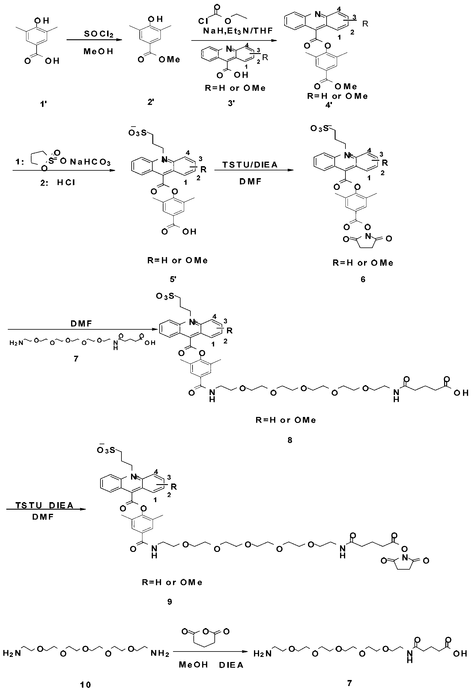 Preparation method for a series of acridine chemiluminescence agents