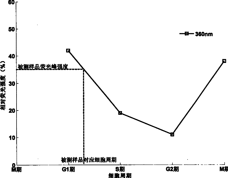 Method for Measuring Cell Cycle Using Cell Autofluorescence Spectroscopy