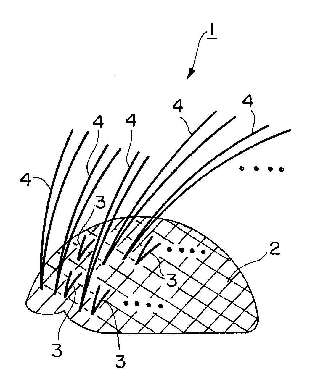 Wig and Method of Manufacturing the Same