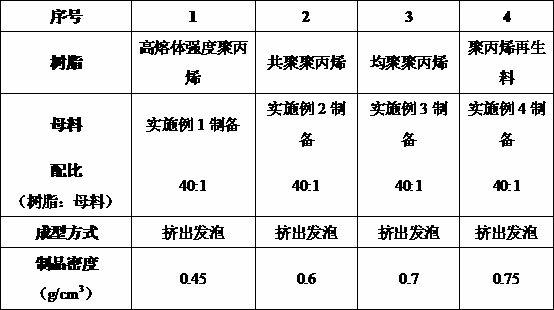 Polypropylene resin foam concentrate and preparation method thereof