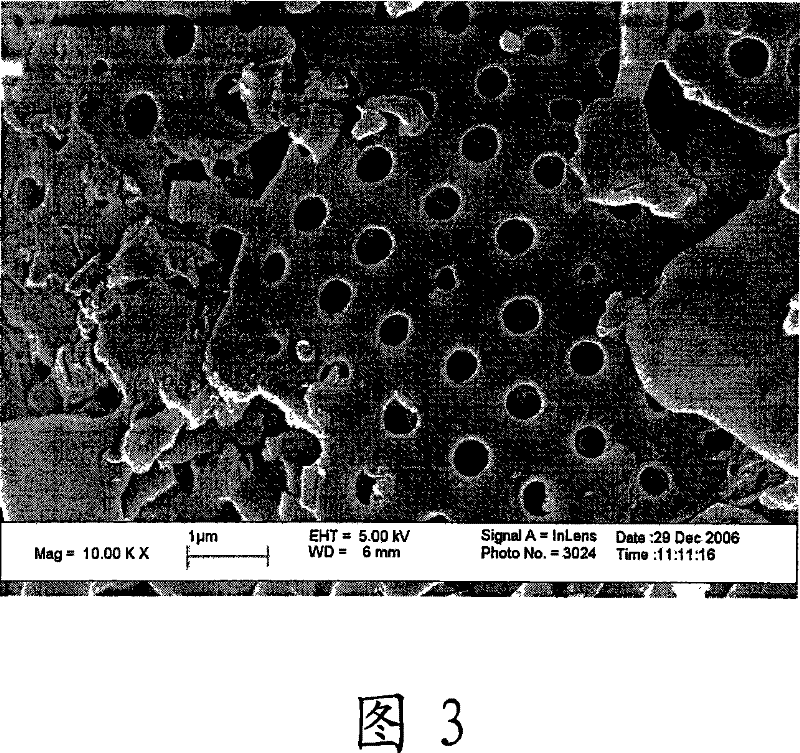 Smelly-removing white carbon powder with high whiteness and method for producing the same and use thereof