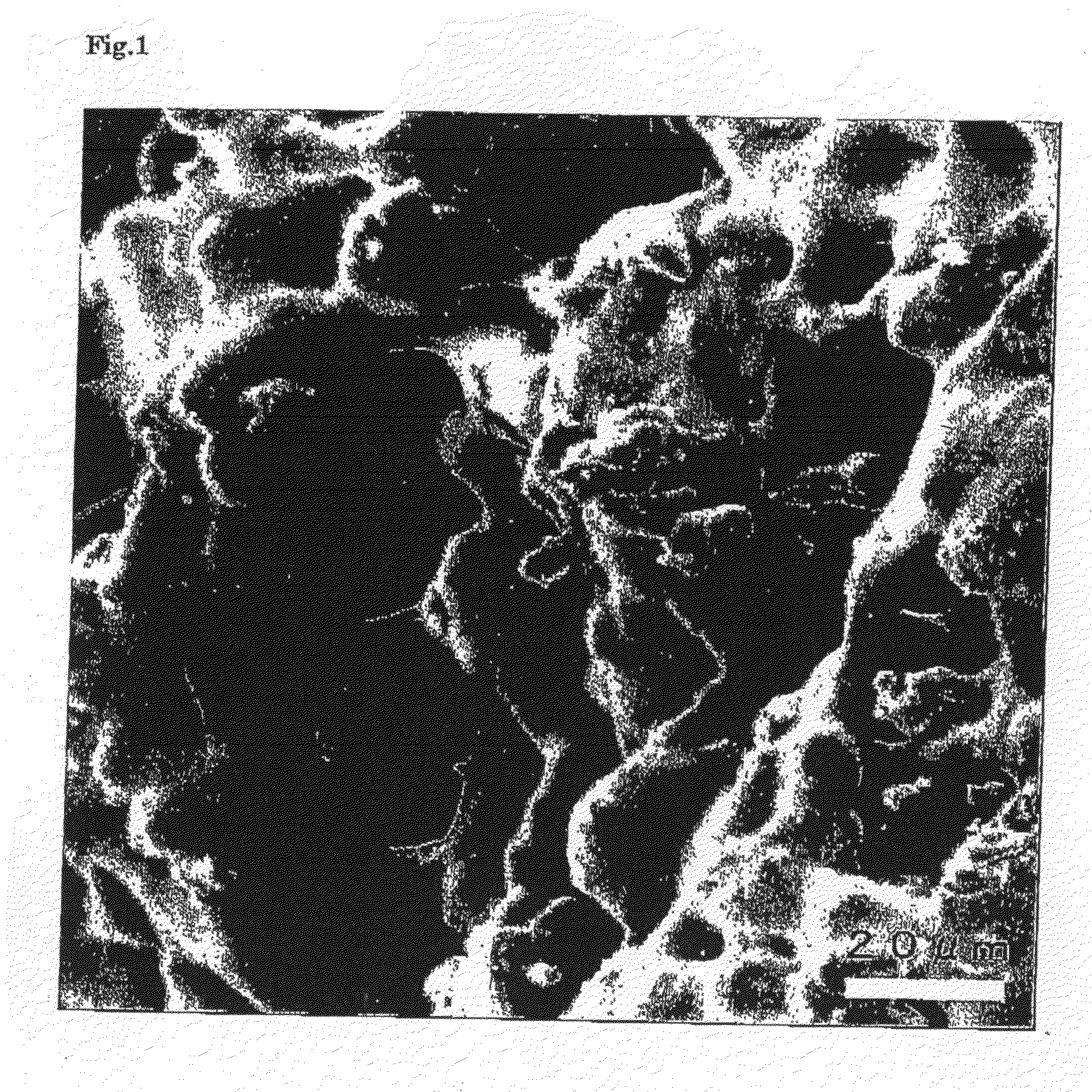 Macroporous Carbon Material and Mesoporous Carbon Material Starting from Wood Material, Method for Producing them, and Porous Metal Carbon Material and Method for Producing it