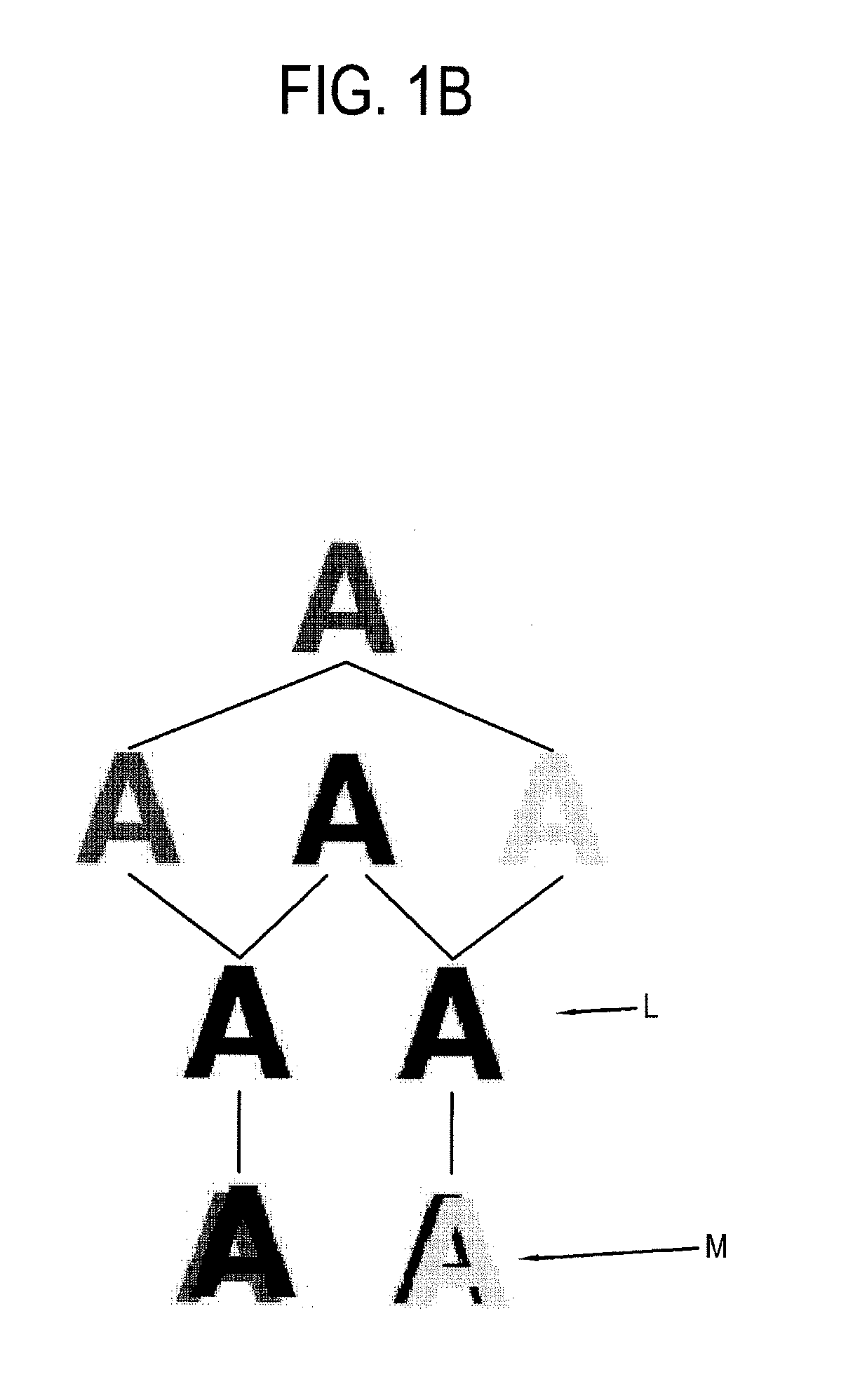 Developing-transferring module and image forming apparatus having the same