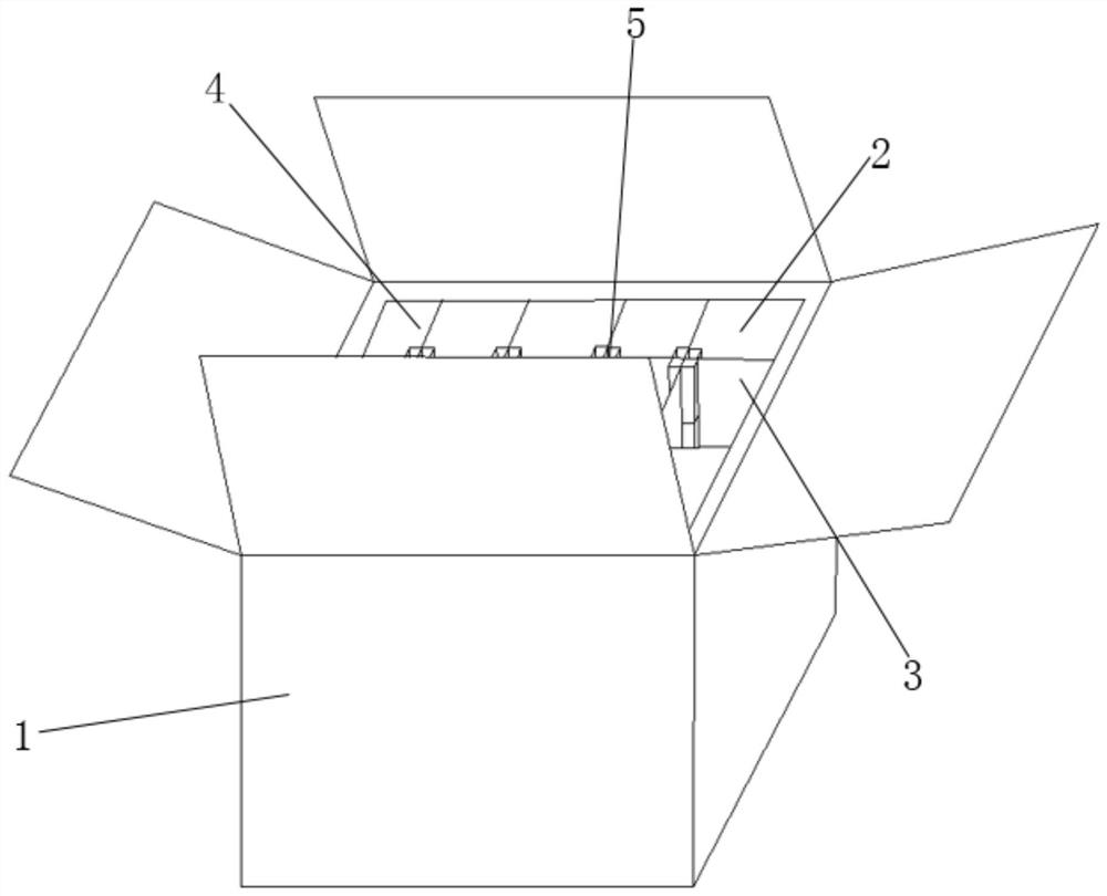 Fruit packaging carton