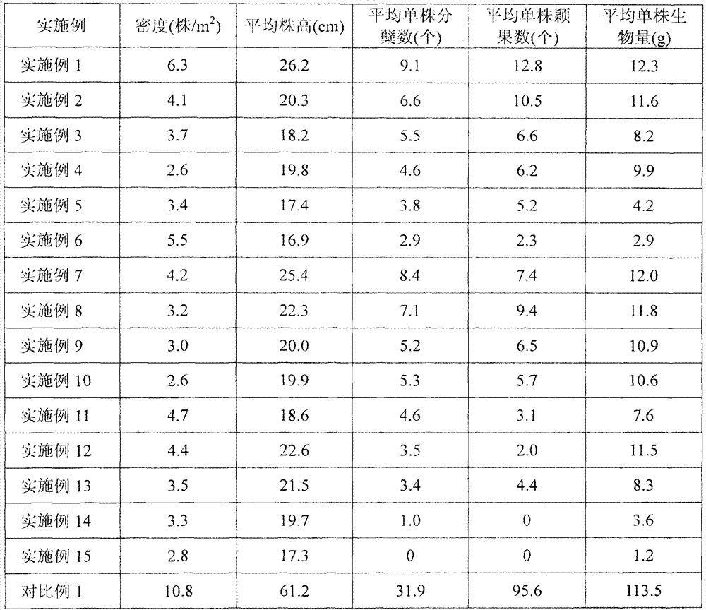 A method for sunflower to replace and control Tribulus terrestris