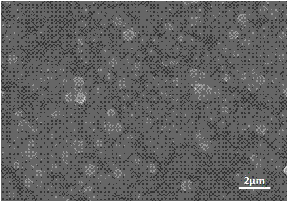 Solid polymer electrolyte doped with modified nanofiller and preparation method of solid polymer electrolyte