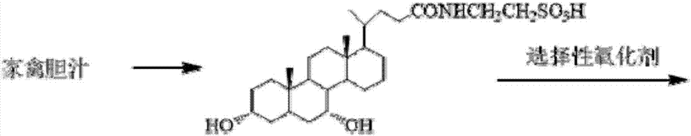 Tauroursodeoxycholic acid synthesis method