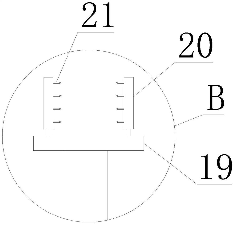 Automatic skin removing machine for fishes