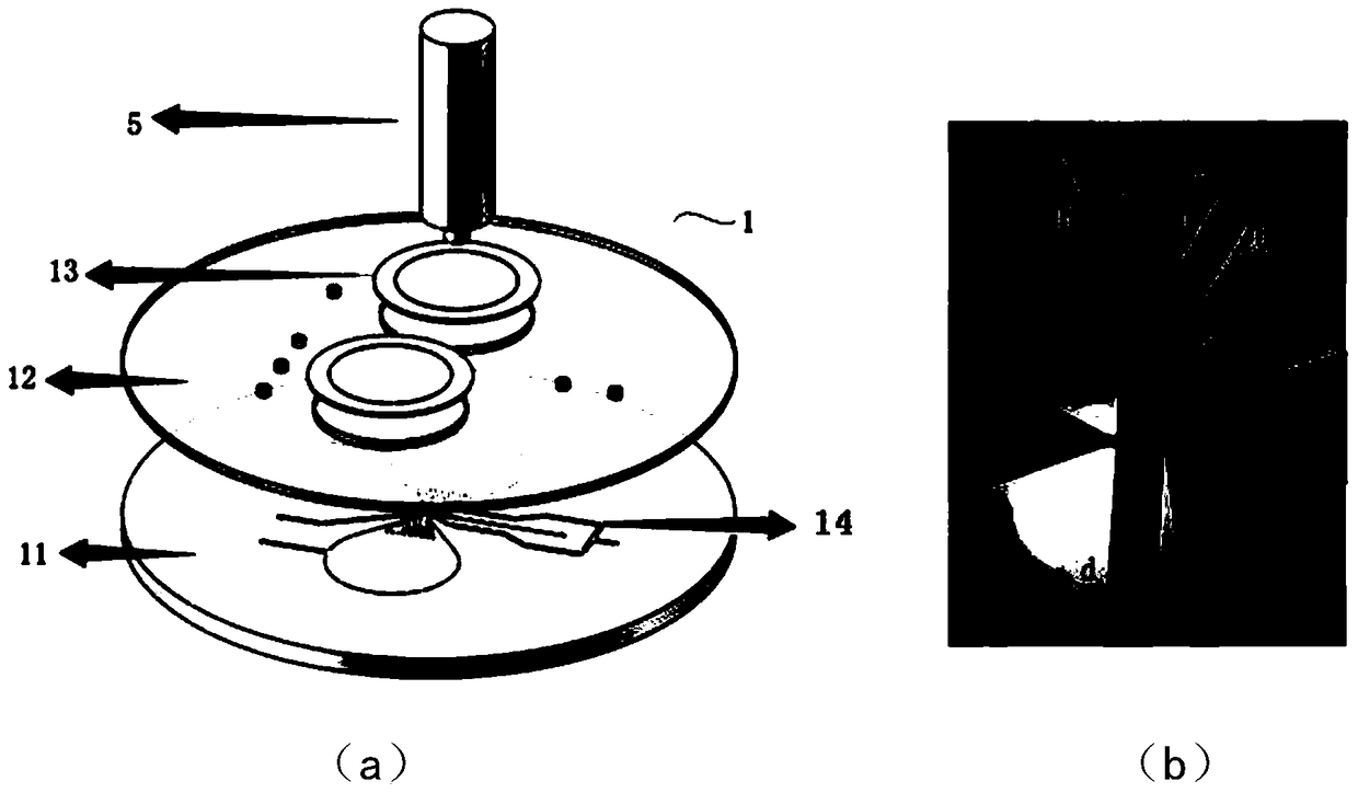 A Microfluidic Cell Sorting System Driven by External Piezoelectric Ceramics