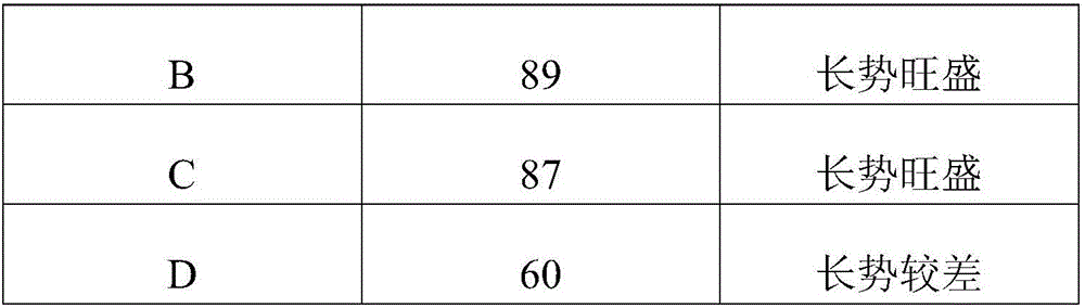 A natural vegetable insecticide and a preparing method thereof