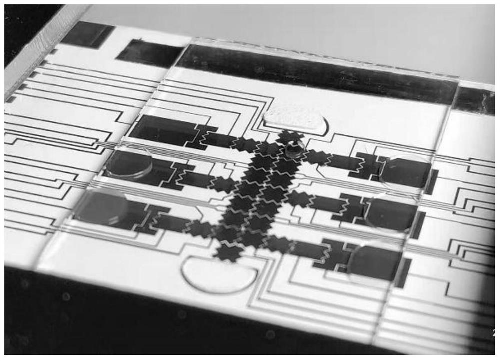 A disposable paper-based digital microfluidic detection chip and its detection method