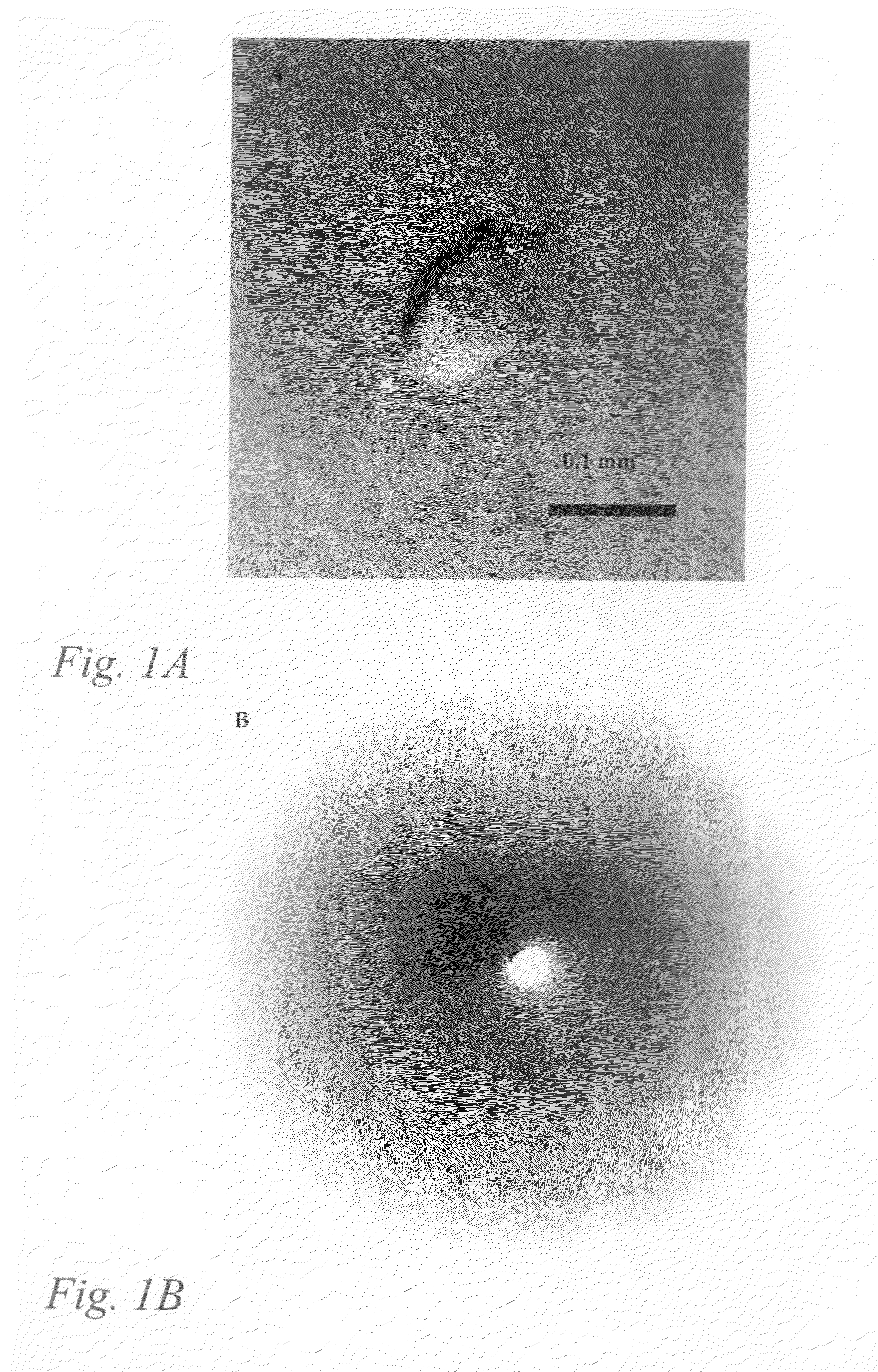 Crystalline VAP-1 and uses thereof