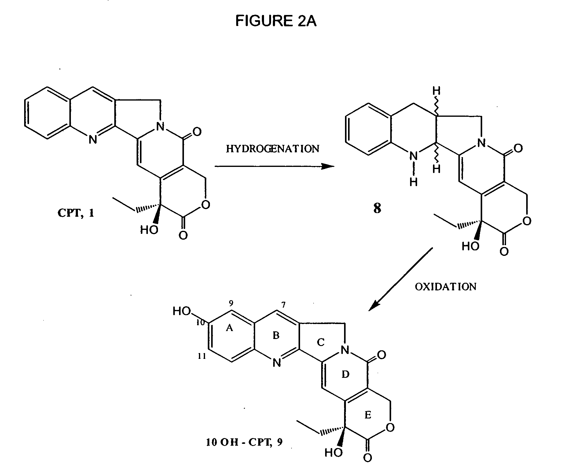 Process to prepare camptothecin derivatives and novel intermediate and compounds thereof