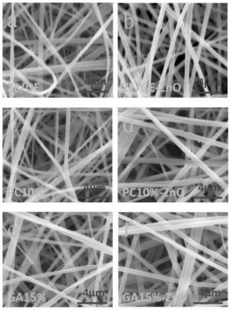 Zein/polyphenol/nano-zinc oxide composite fiber membrane and preparation method thereof