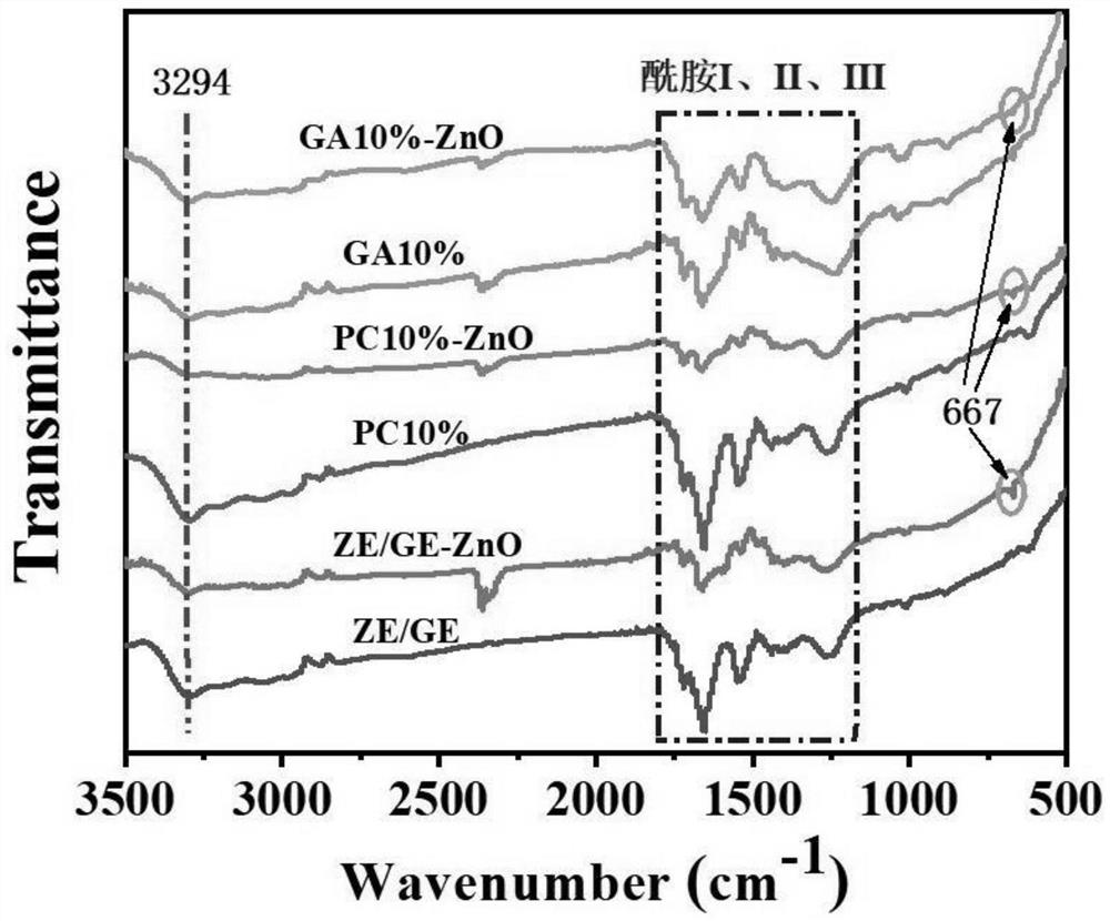 Zein/polyphenol/nano-zinc oxide composite fiber membrane and preparation method thereof