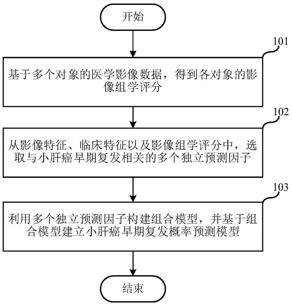 Construction method and prediction method of small liver cancer early recurrence probability prediction model