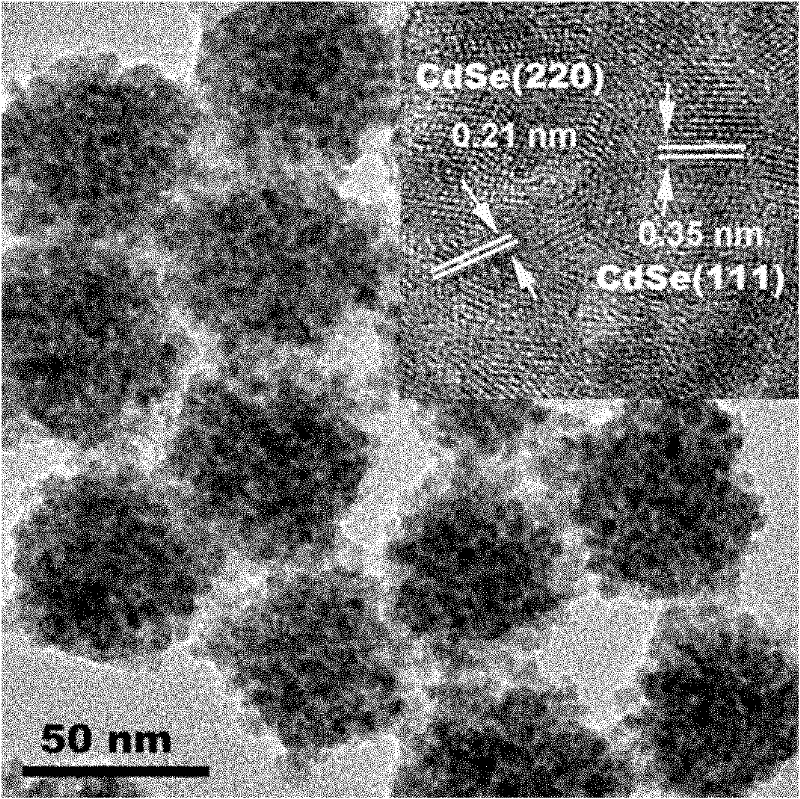 Inorganic semiconductor super nanoparticle and its preparation method