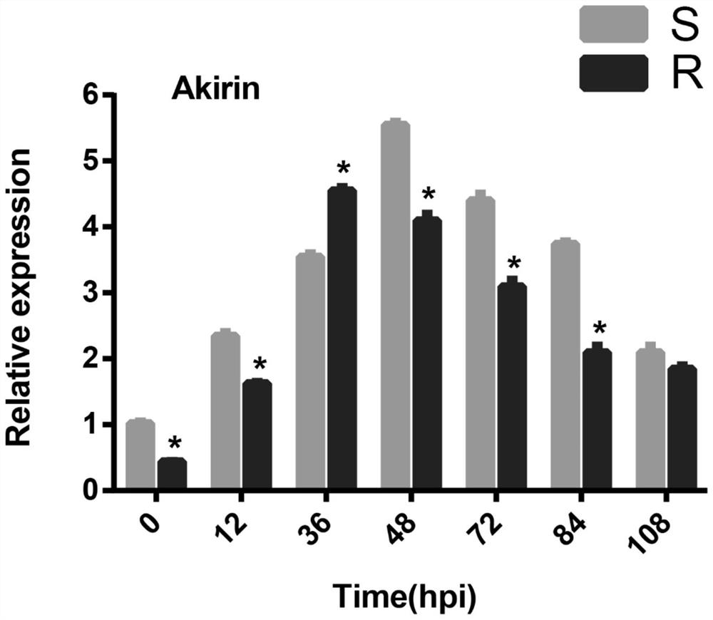 Method for improving killing of German cockroaches by metarhizium anisopliae through interfering genes and application of method