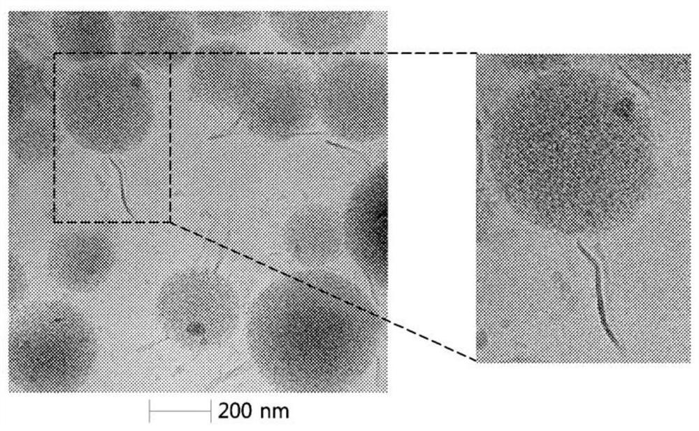 Nanoparticle composite showing improved endocytosis efficiency through surface modification using lipid and manufacturing method therefor
