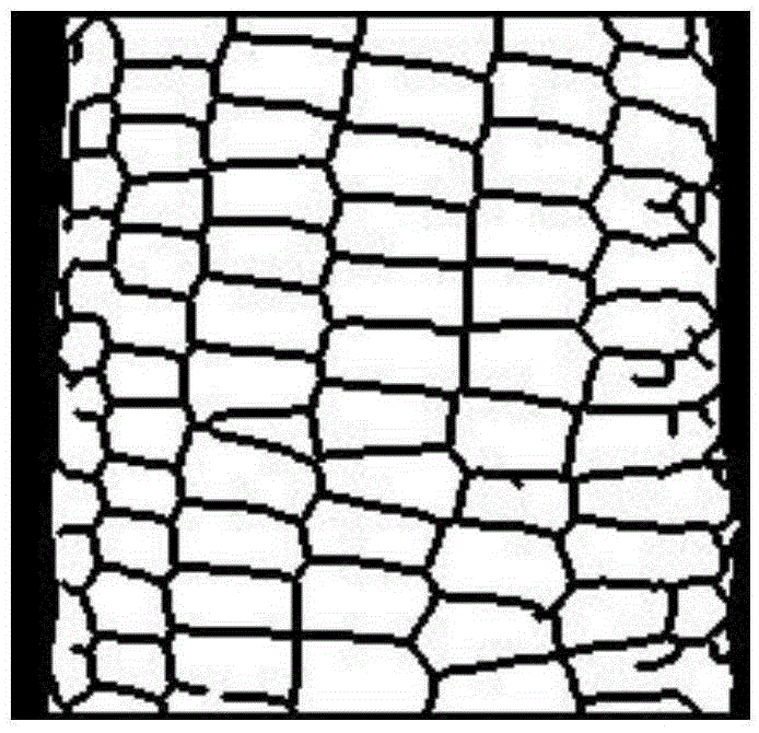 A method for identifying the type of corn kernels