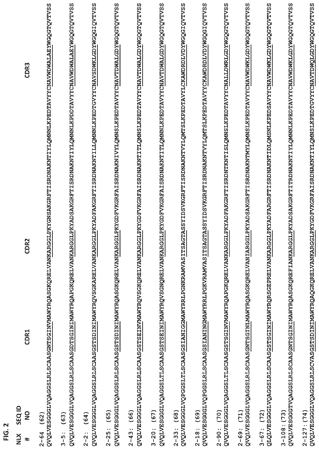 Fusion protein of single domain antibody and procoagulant