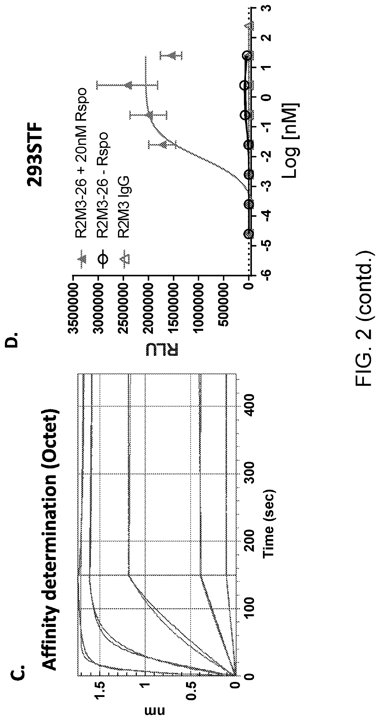 Wnt surrogate molecules and uses thereof