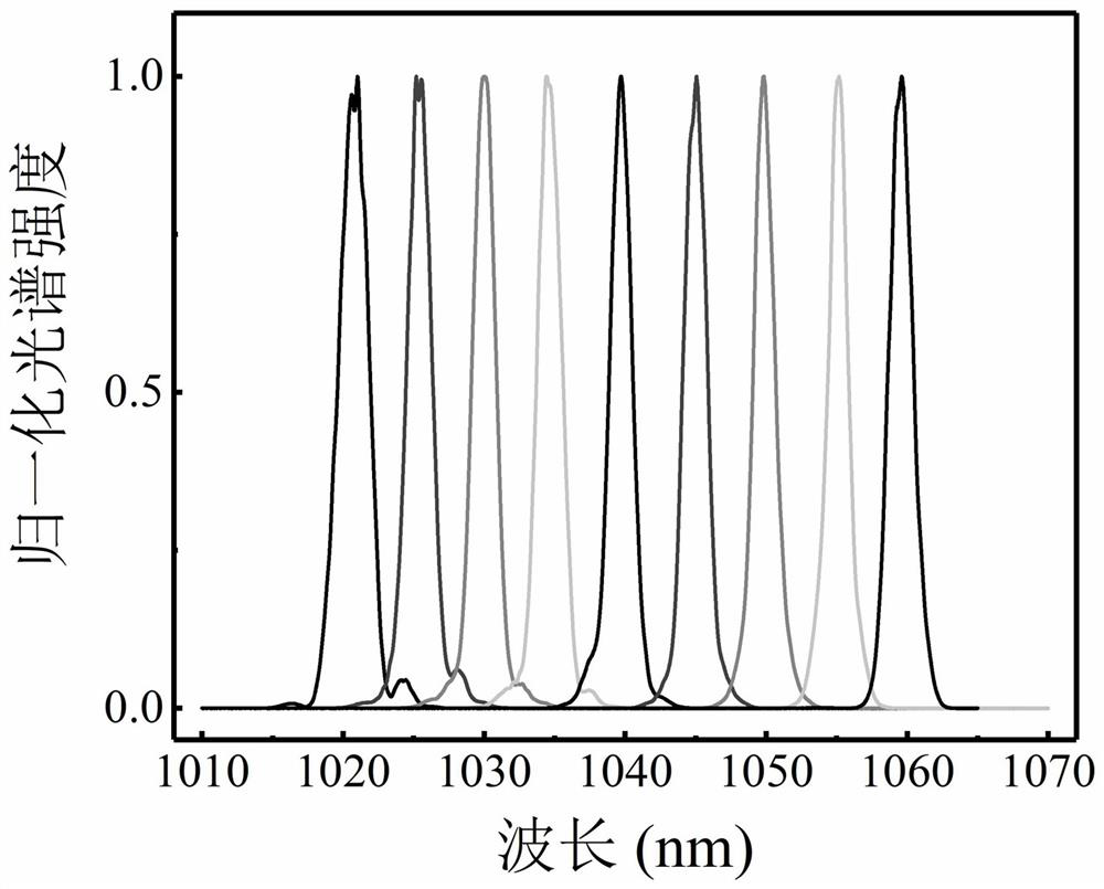 8-shaped femtosecond fiber laser