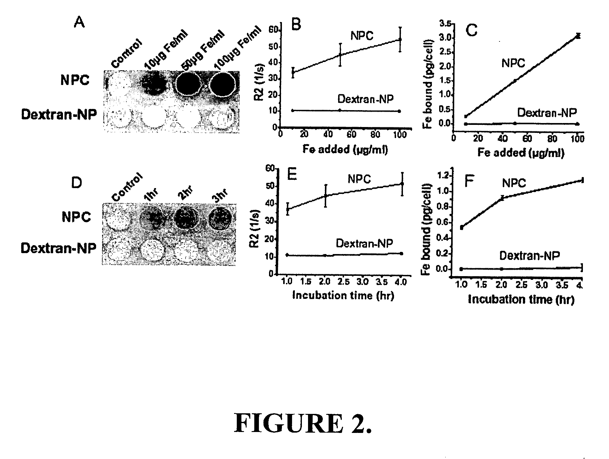Chlorotoxin-labeled nanoparticle compositions and methods for targeting primary brain tumors