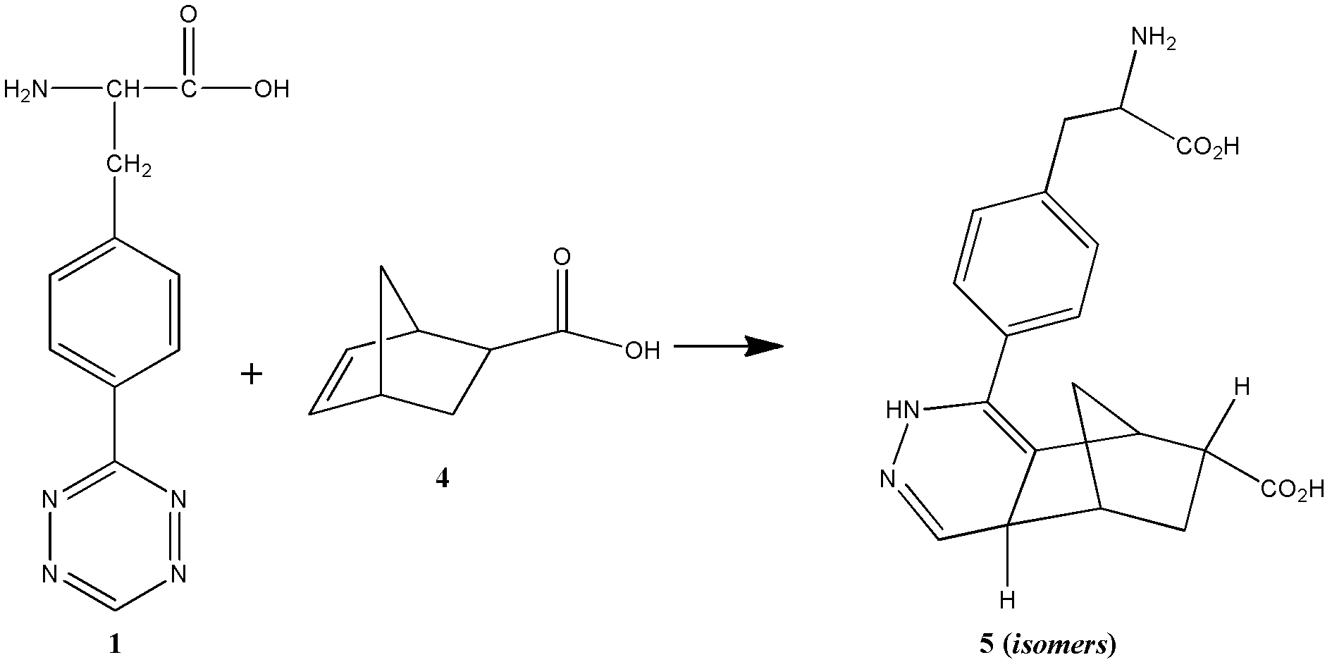 Novel compound L-4-terazine-phenylalanine, preparation method and application thereof