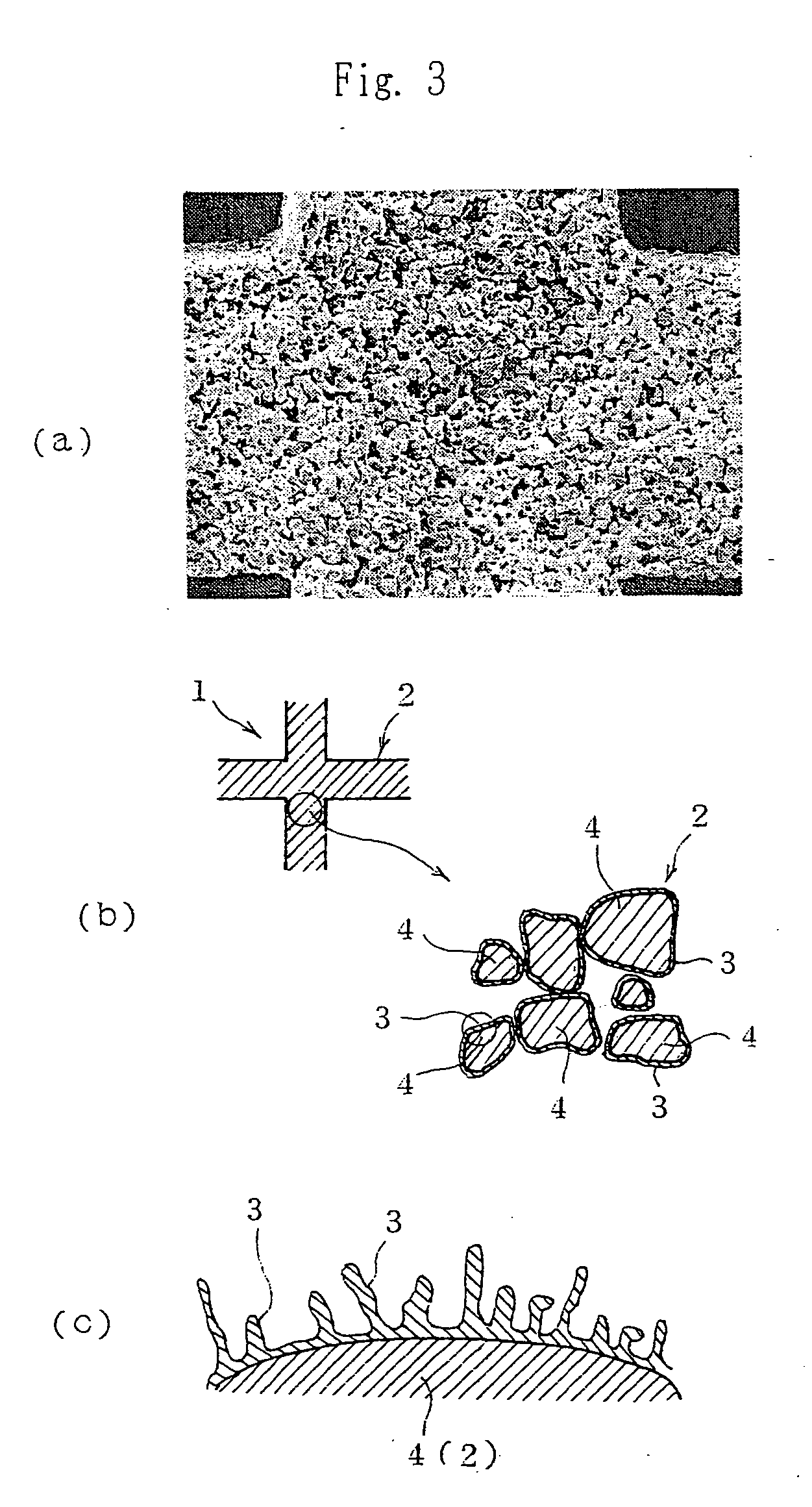 Catalyst carrier and method of producing same
