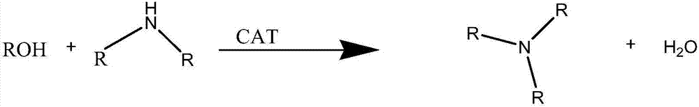 Tri-n-octylamine preparation method