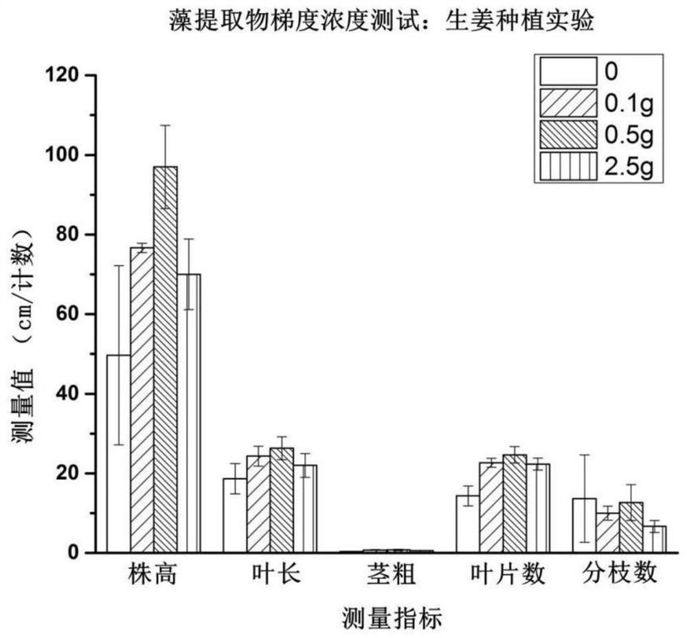 Application of anabaena and/or spirulina extract as biostimulant in agricultural production