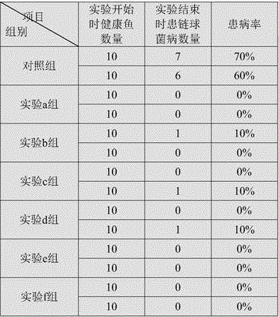 Feed additive for preventing and treating streptococcicosis of Epinephelus akaara, and preparation method thereof