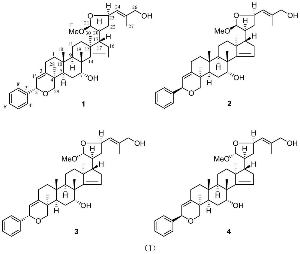 Triterpenes in leaves of Phyllanthus acidus as well as pharmaceutical composition and application of triterpenes