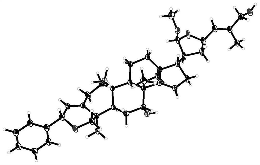 Triterpenes in leaves of Phyllanthus acidus as well as pharmaceutical composition and application of triterpenes