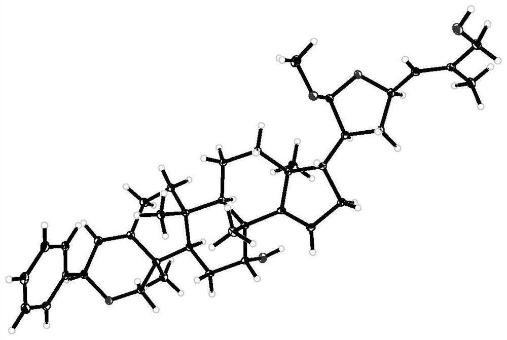 Triterpenes in leaves of Phyllanthus acidus as well as pharmaceutical composition and application of triterpenes