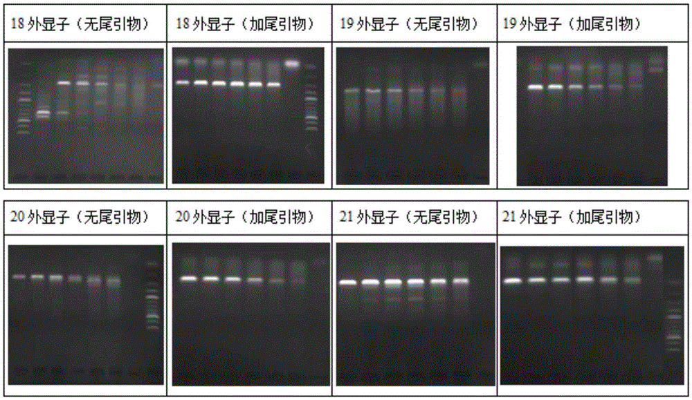 PCR (polymerase chain reaction) specificity improving method