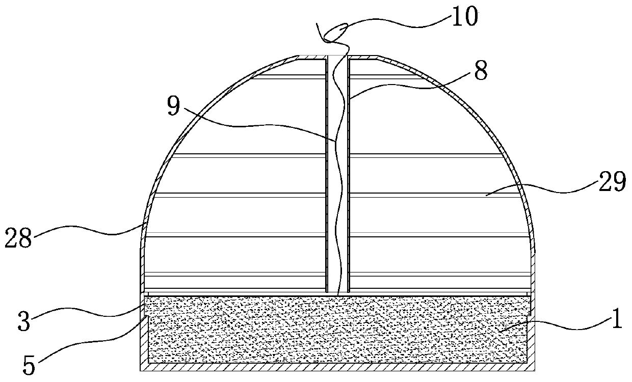 Submerged plant seed packet device