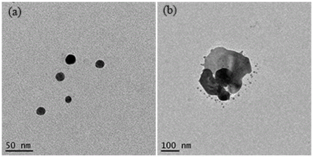 Method for preparing stable nano silver