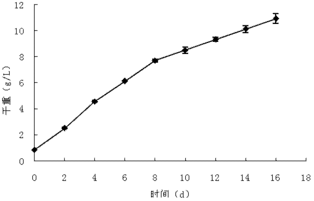 Scenedesmus strain and application thereof