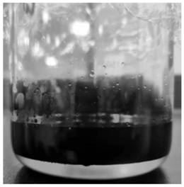Preparation method and application of amphiphilic graphene oxide thick oil viscosity reducer