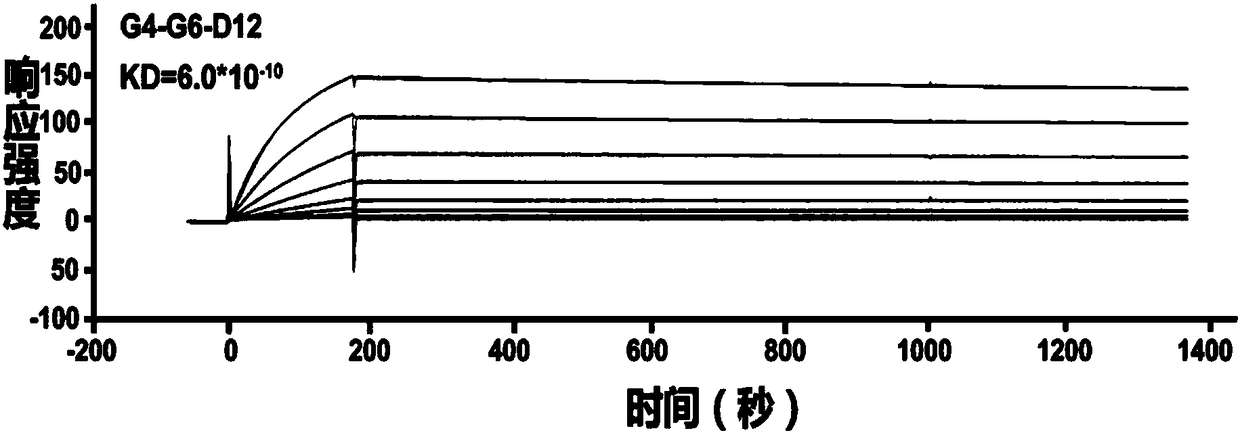 Coupled compound of anti-5T4 antibody and maytansine derivative DM4, preparation method and application