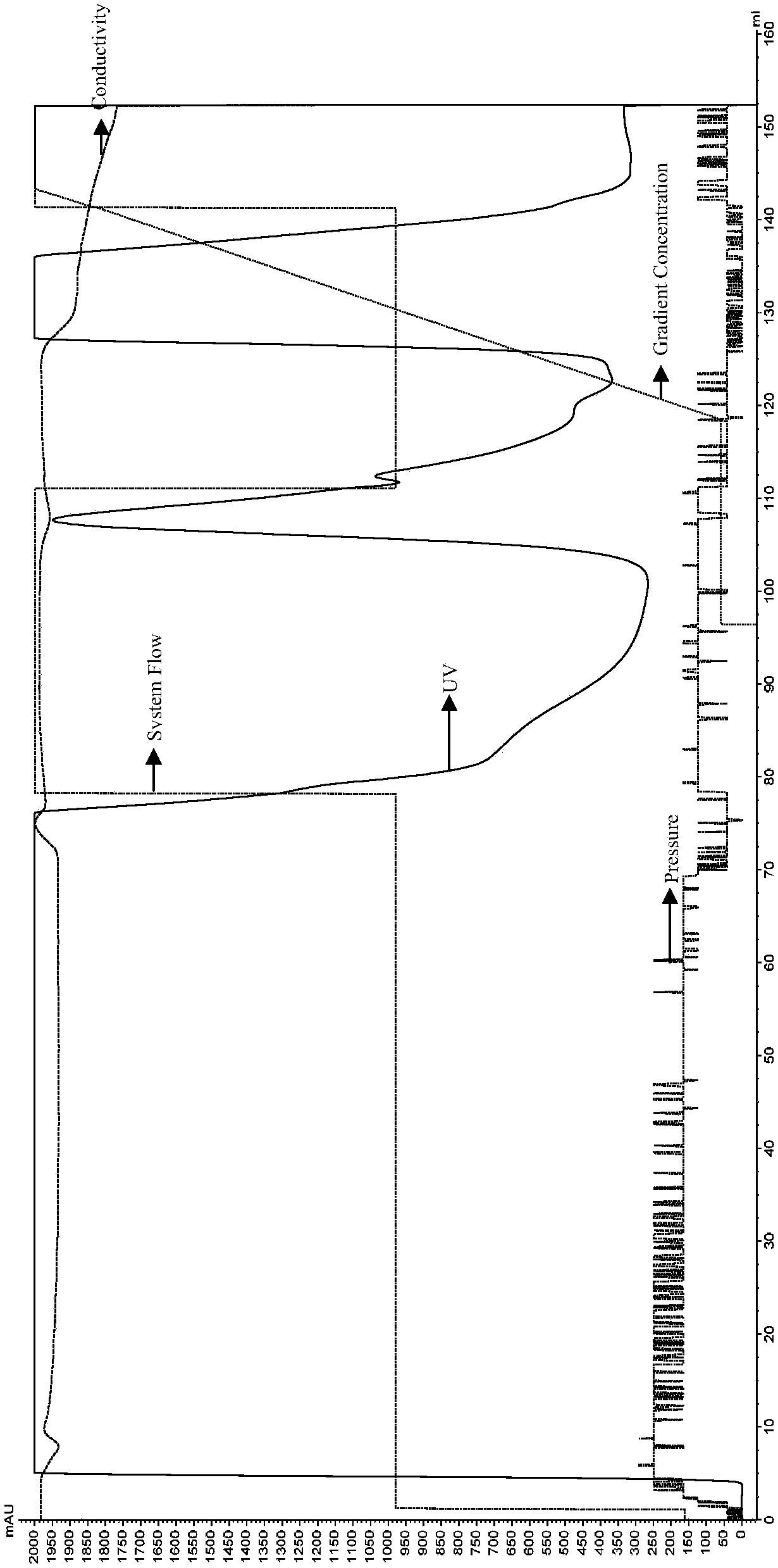 Medicine composition containing interleukin-38 recombinant protein and application of medicine composition