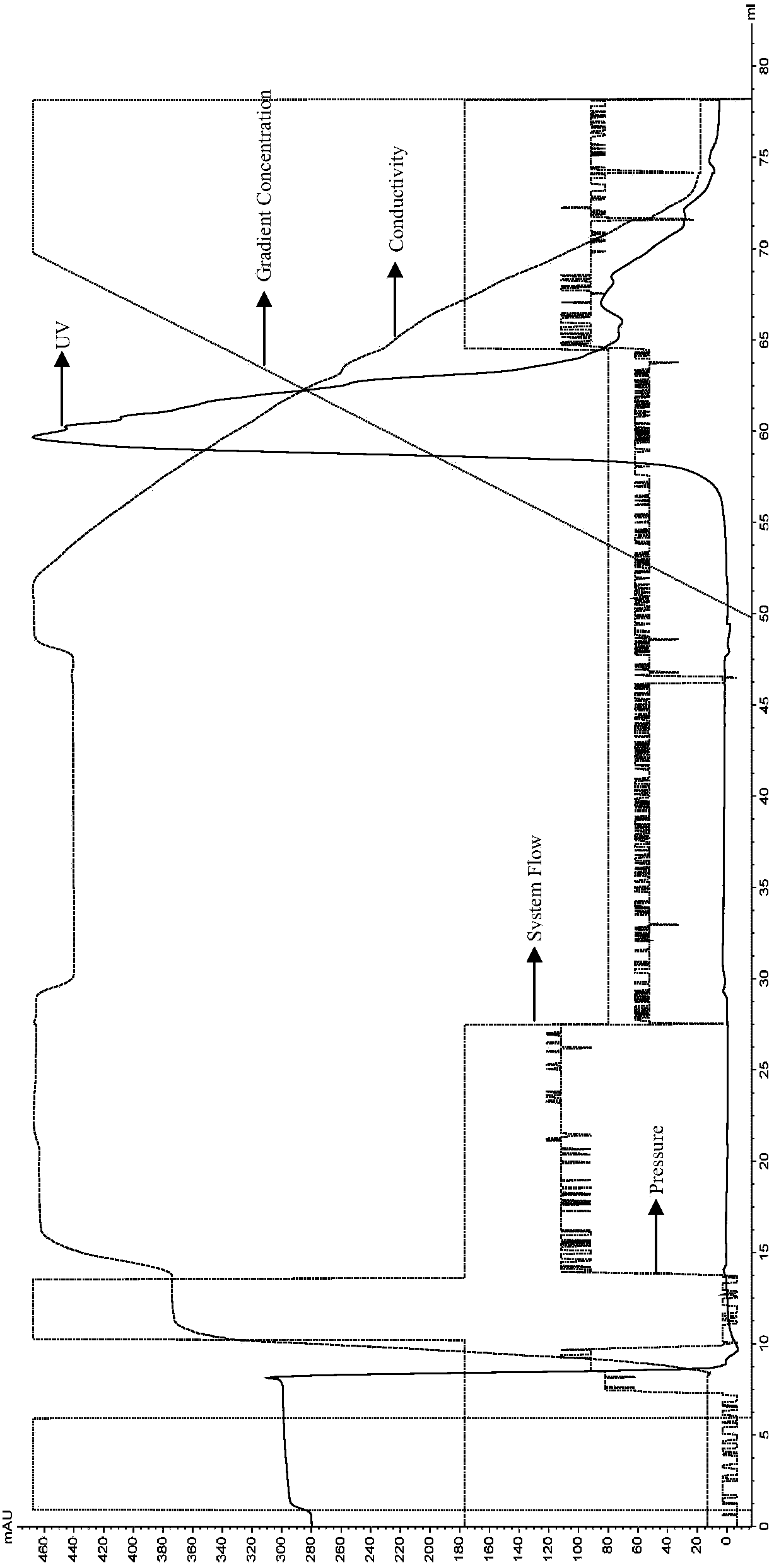 Medicine composition containing interleukin-38 recombinant protein and application of medicine composition