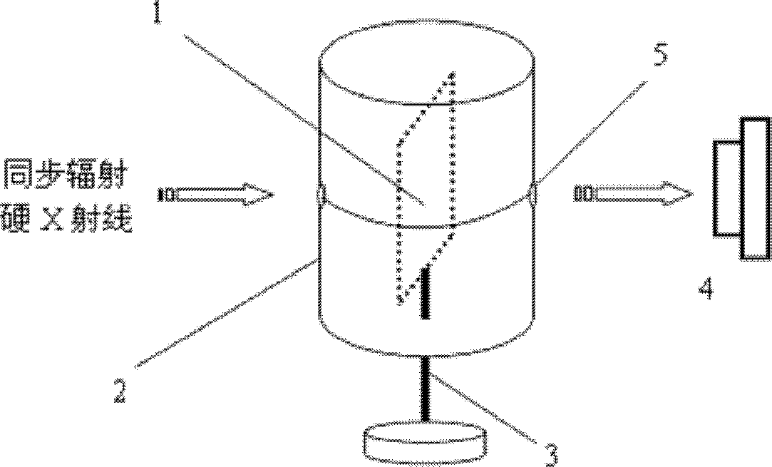 Alloy solidification synchrotron radiation imaging visualization method