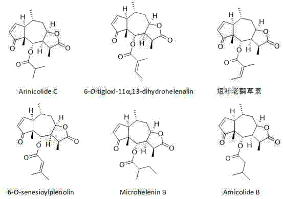 Application of sesquiterpene lactone compounds in preparation of anti-influenza virus drugs