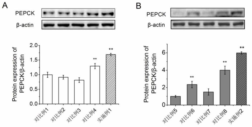 Construction method and application of insulin resistance cell model and combined induction solution of insulin resistance cell model