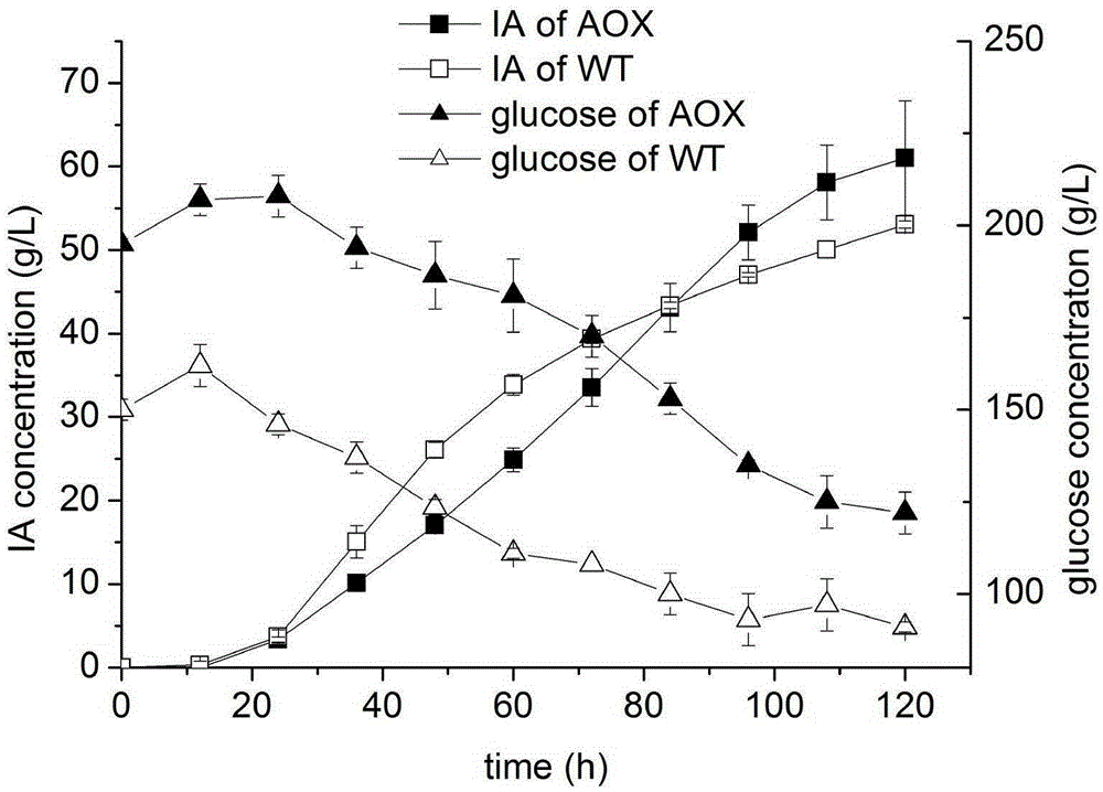 Method for increasing yield of itaconic acid produced by fermentation of aspergillus terreus